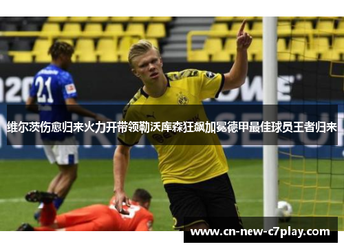 维尔茨伤愈归来火力开带领勒沃库森狂飙加冕德甲最佳球员王者归来 维尔茨伤愈归来火力开带领勒沃库森狂飙加冕德甲最佳球员王者归来